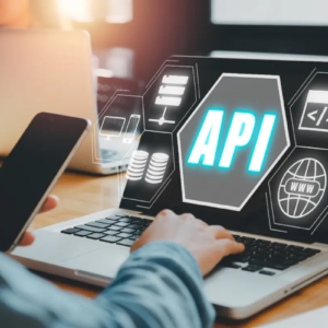 Scalable Support: Why Enterprises Need Standardized APIs